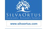 Silver Ortus
