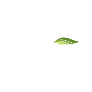 Wickliffe Paper Co LLC