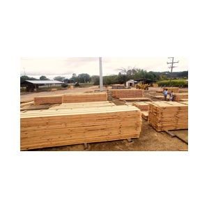 Aserradero y Exportacion de Madera Wood Mizer S. de R.L.