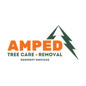 Amped Property Services