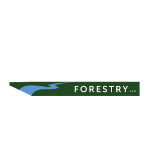 Blackwell Creek Forestry