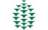 Collins Companies
