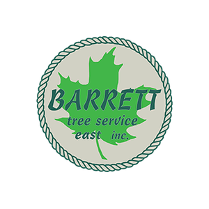 Barrett Sawmill