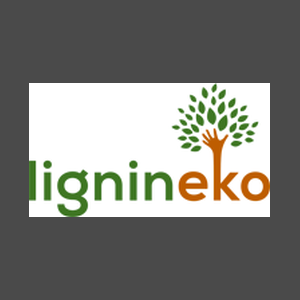 Lignineko