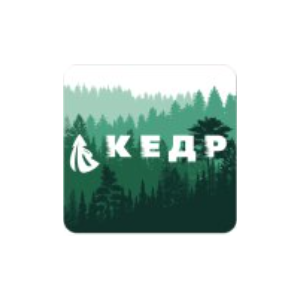 Кедр МК