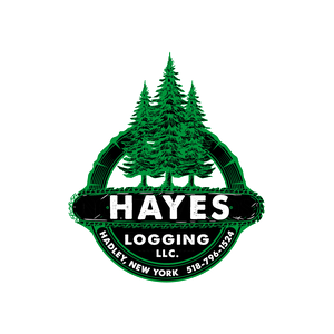 Hayes Logging