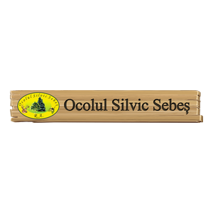 Ocolul Silvic Sebes Ra