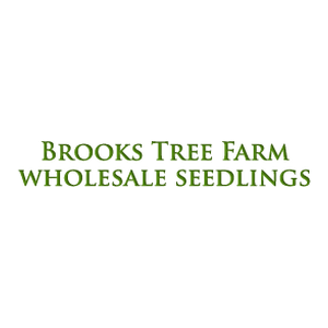 Brooks Tree Farm