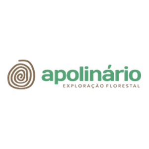 Madeiras Apolinário