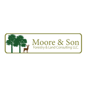 Moore and Son Forestry and Land