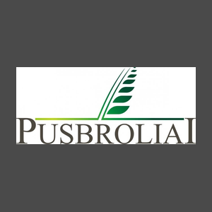 Pusbroliai