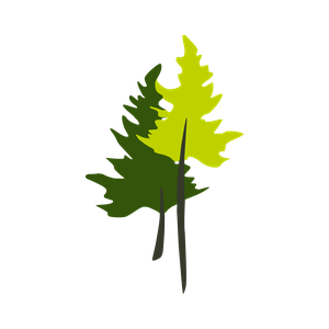 Madera - Produtos da Base Florestal
