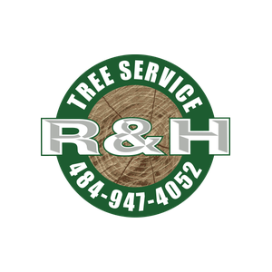 H n H TREE SERVICE