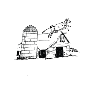 Roof Jumper Timber Frames LLC