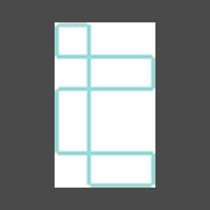 Intelligent City Inc.