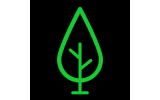 Winnwood Forest Products