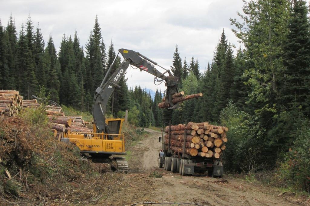 British Columbia"s Valemount specialty sawmill pauses until winter logging