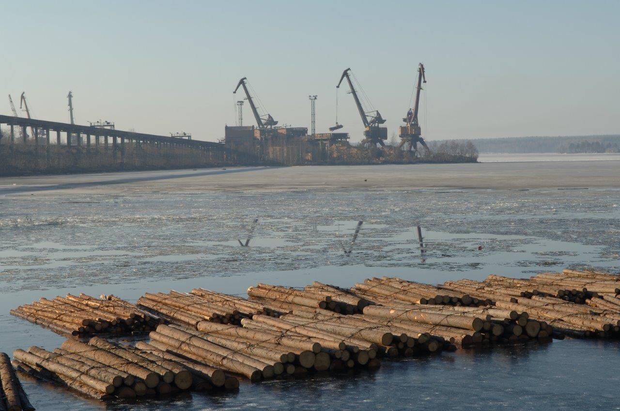 «Тайга Групп» купила «Карелию Палп»