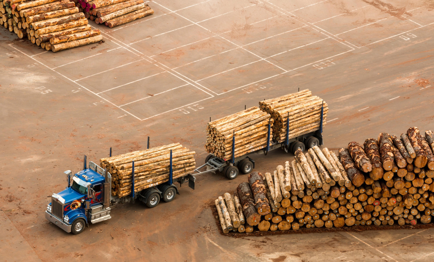 China’s softwood log inventories stay flat at end of October