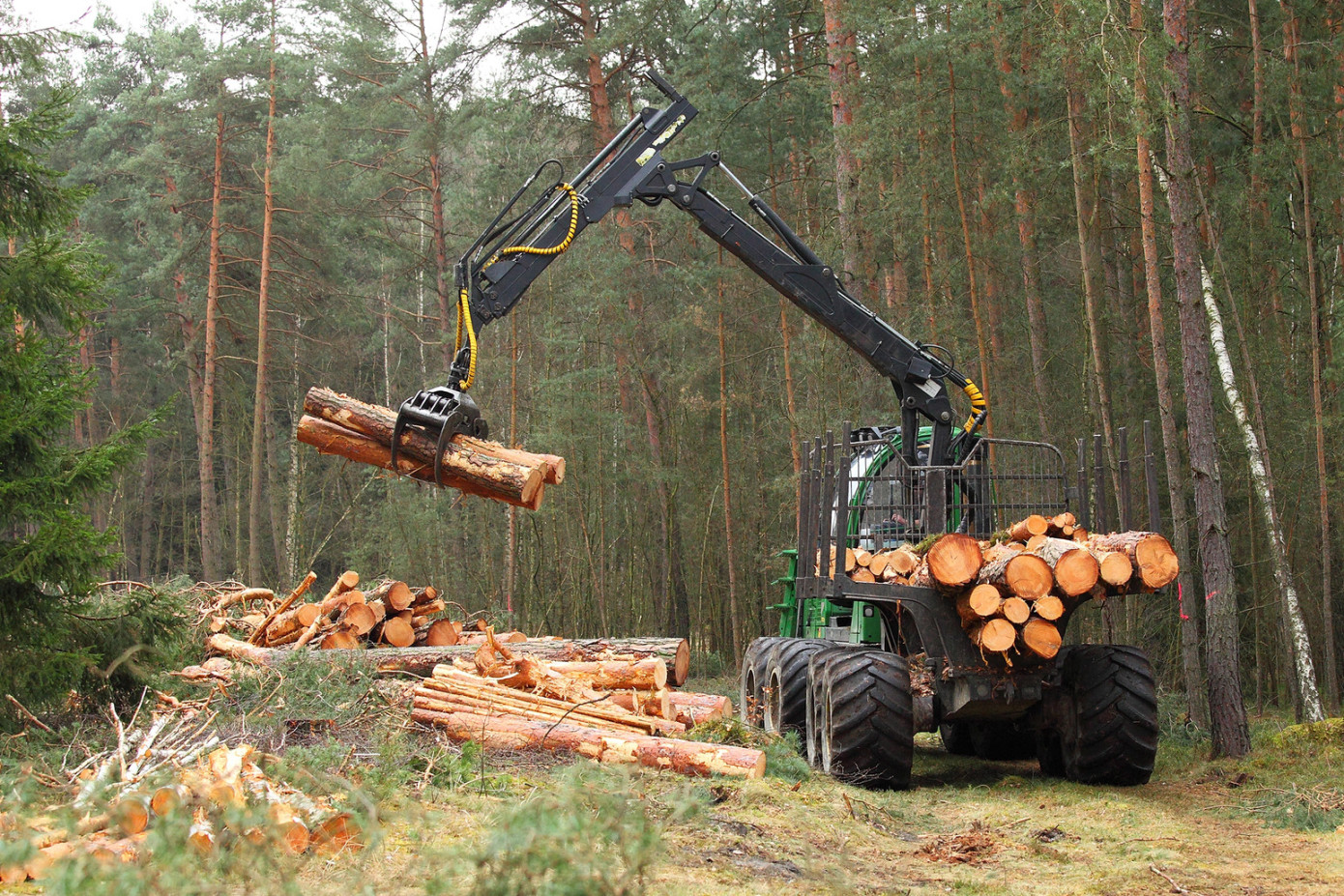 Finland"s industrial roundwood harvest edges down 0.6% in August