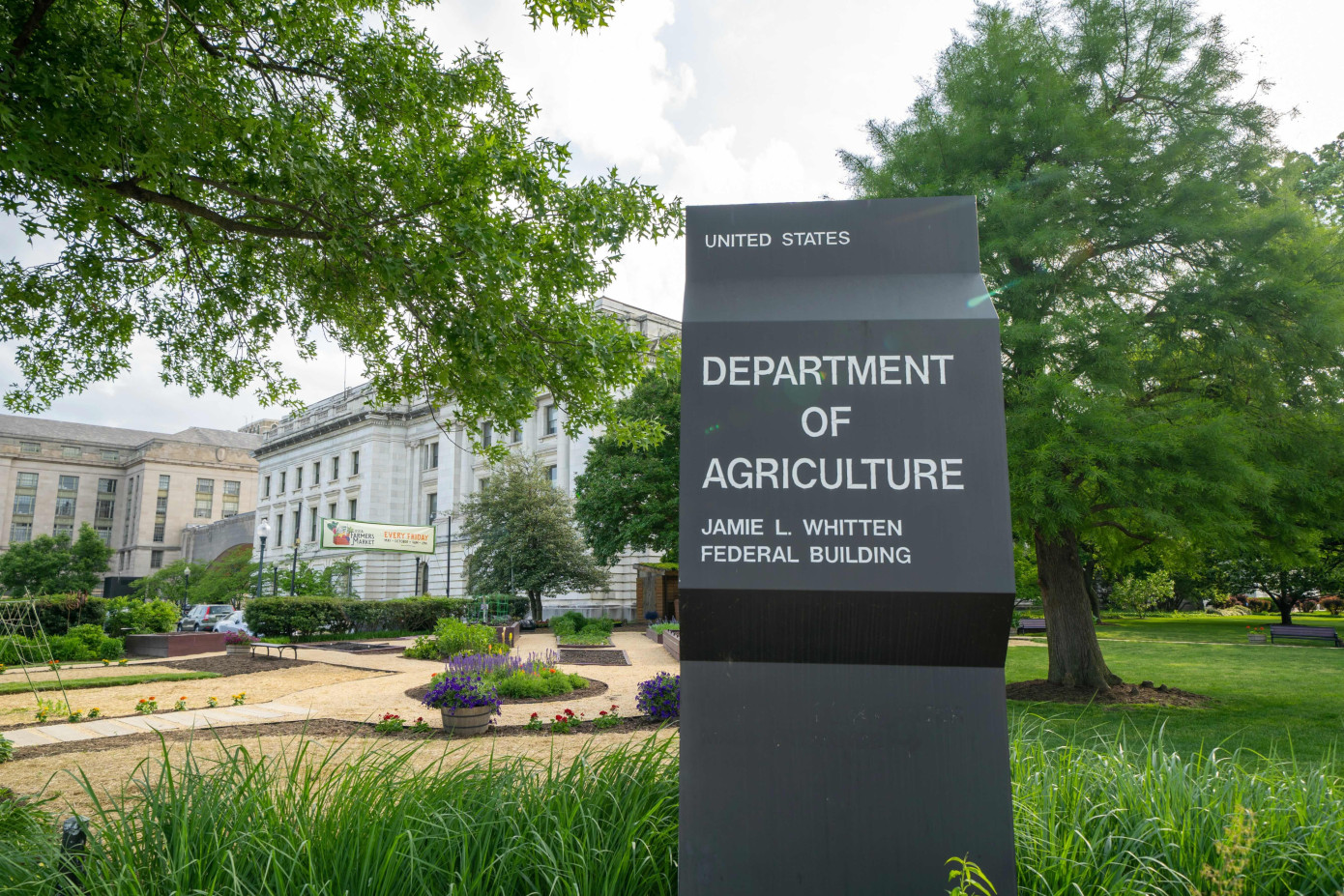 U.S. judge halts Forest Service reorganization
