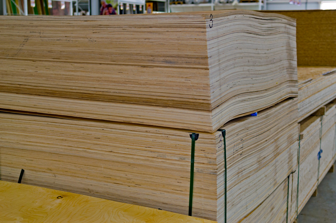 Imports of plywood to EU fall 56% in May