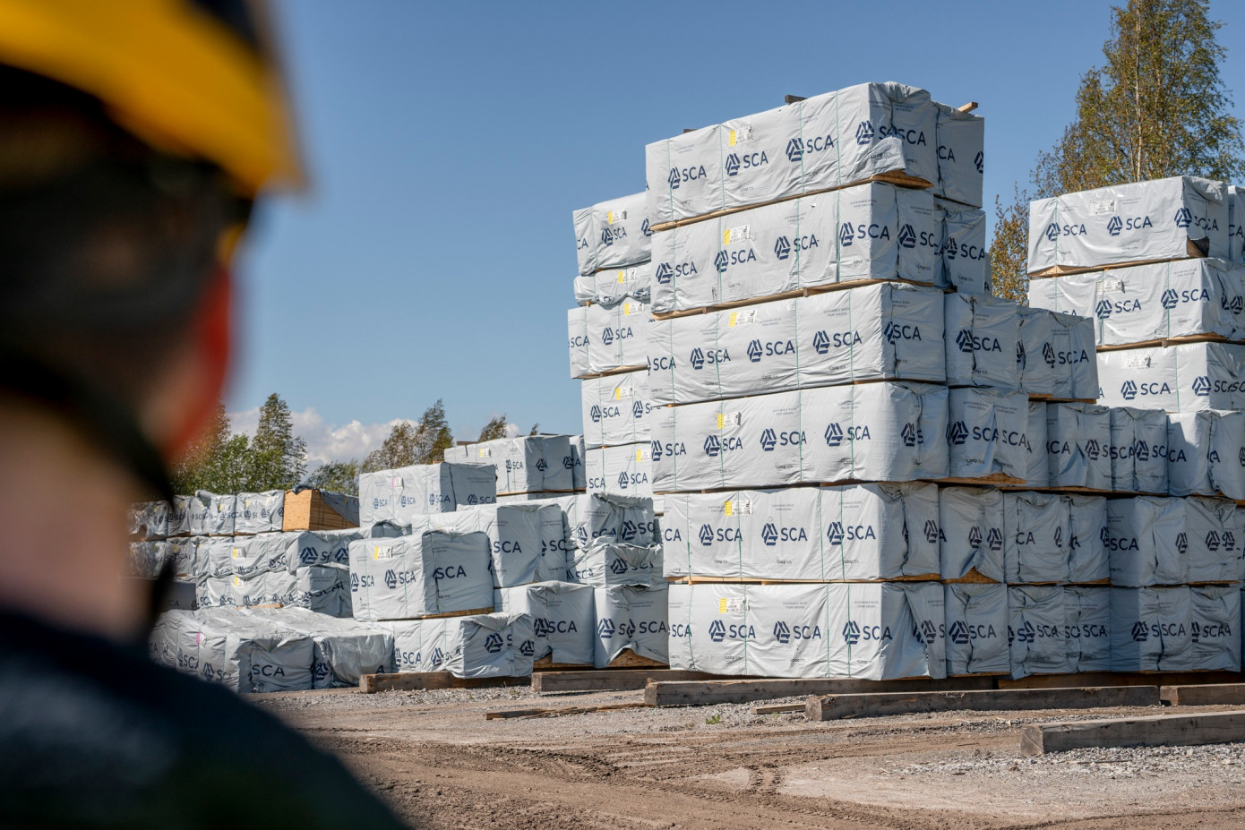 В первом квартале продажи SCA упали на 8%