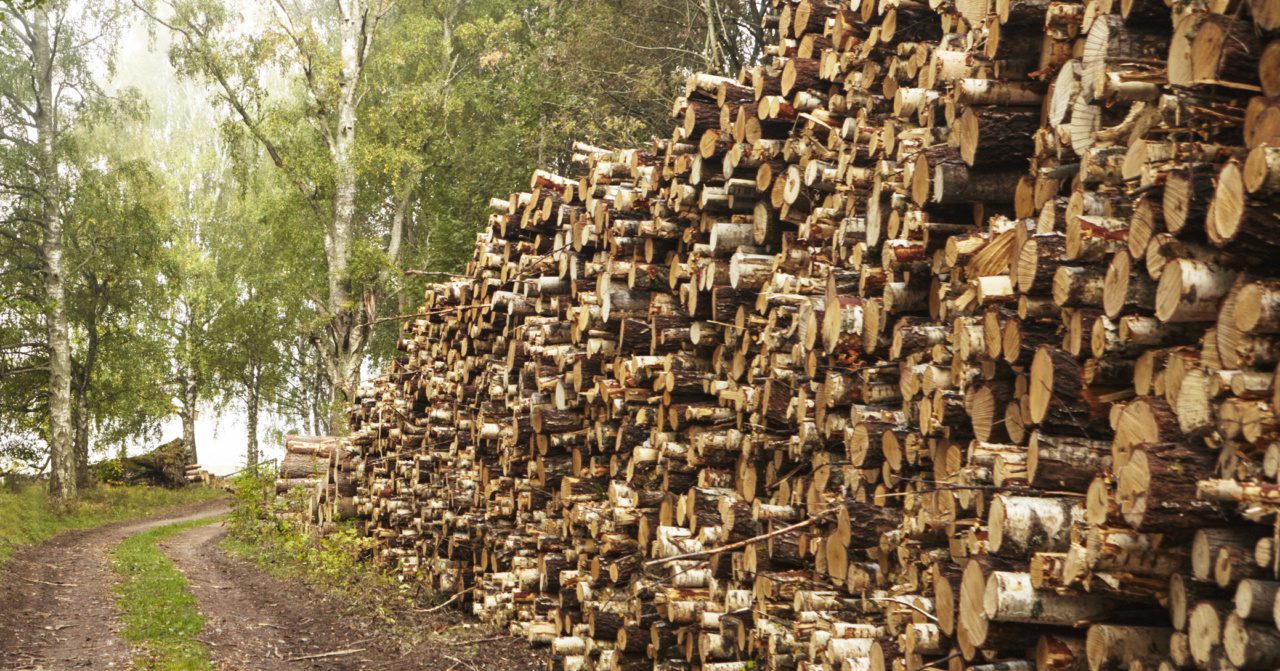 Mellanskog снижает цены на балансовую древесину