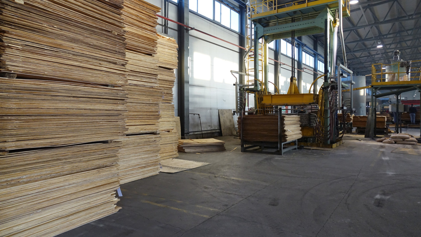 Imports of plywood to Mexico grow 24% in November