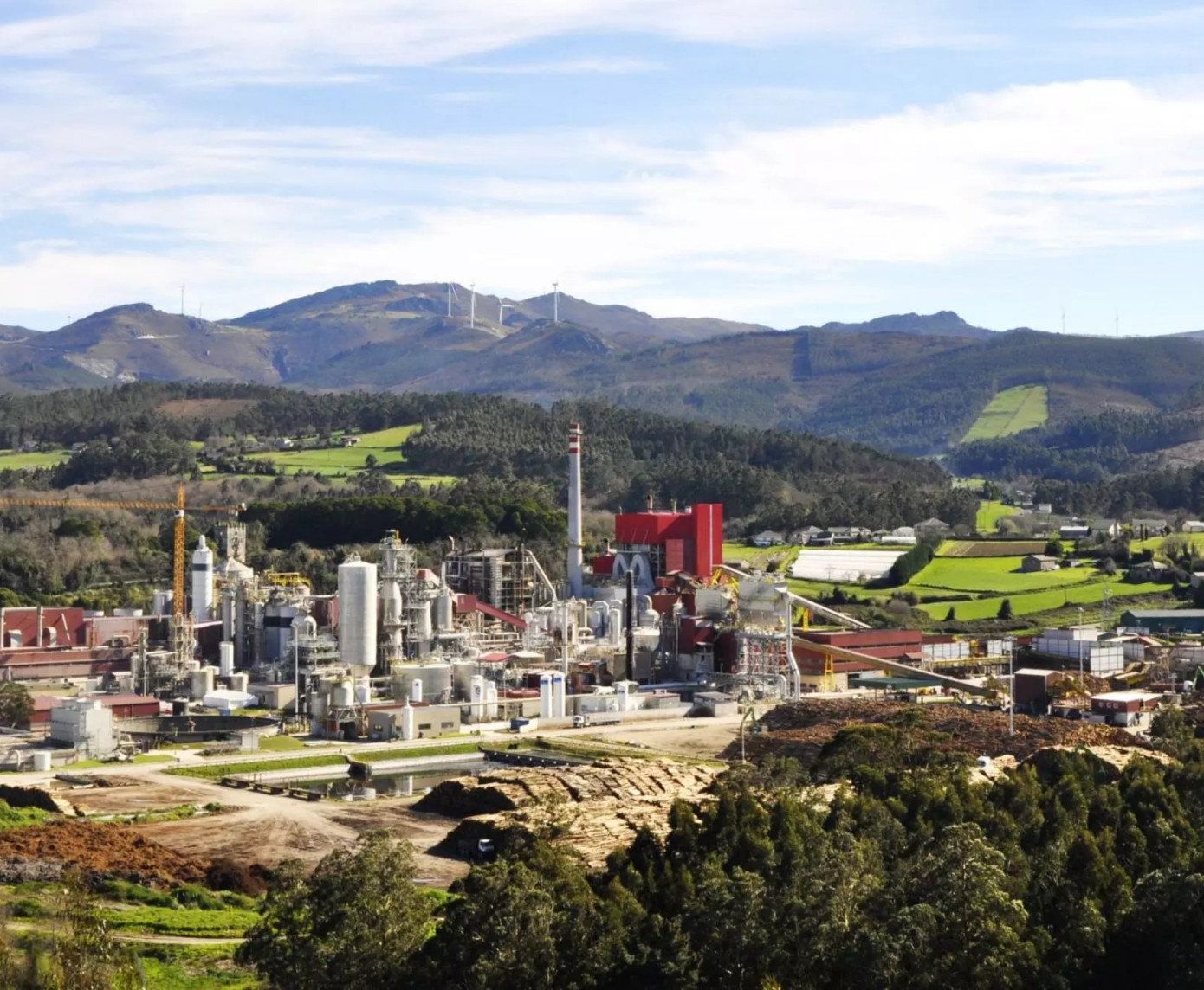 Испанская Ence инвестирует более 1 млн евро в модернизацию двух заводов