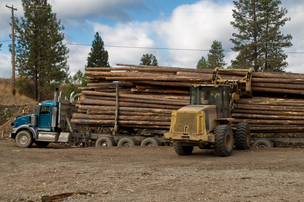 Finland"s industrial roundwood harvest edges down 0.9% in September