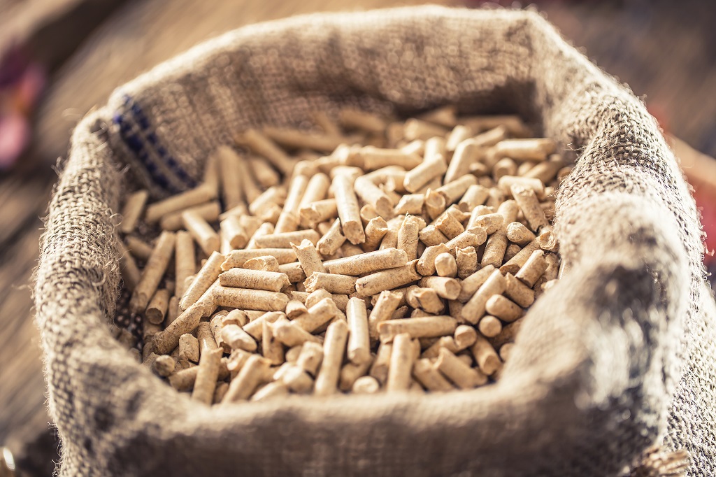 Imports of wood pellets to EU lose 12% in February