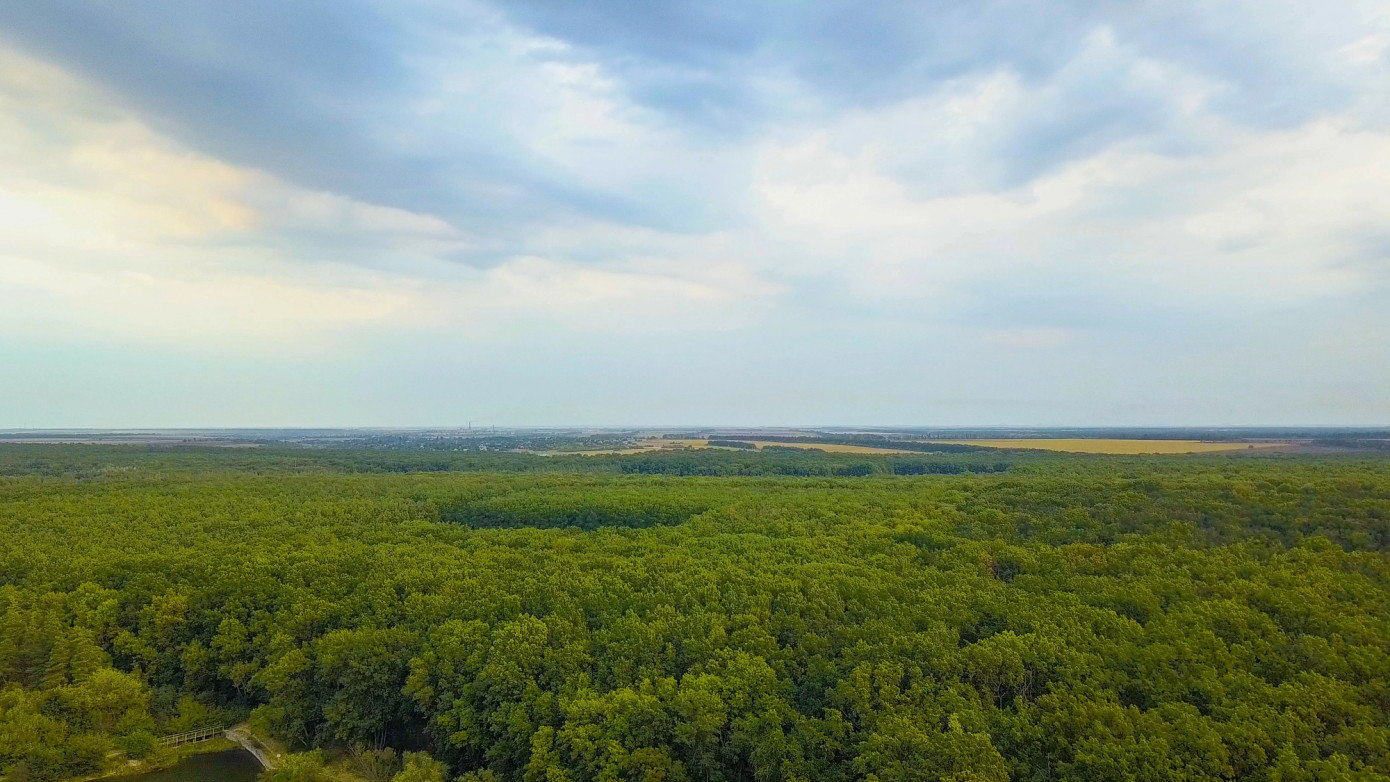Campbell Global buys Sandpiper Forest, adding 29,760 Louisiana acres