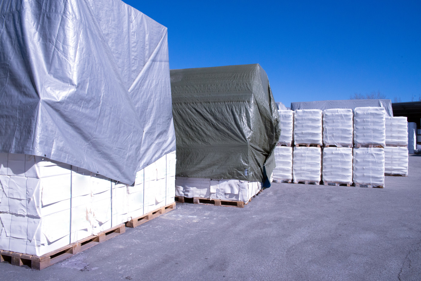 Germany wood pulp production slips 4% in February