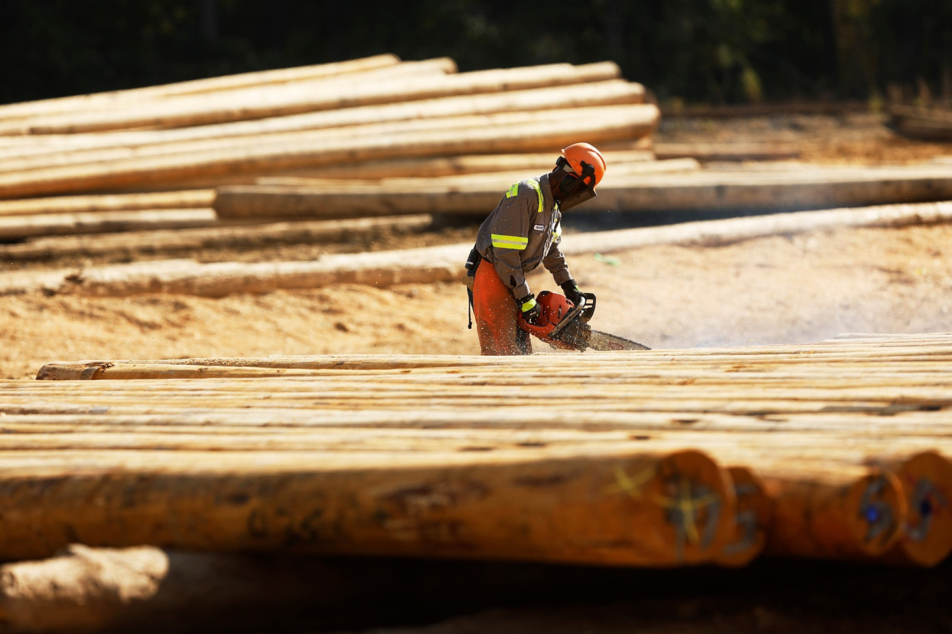 В 3 кв. 2025 г. продажи Koppers Holdings снизились на 12%
