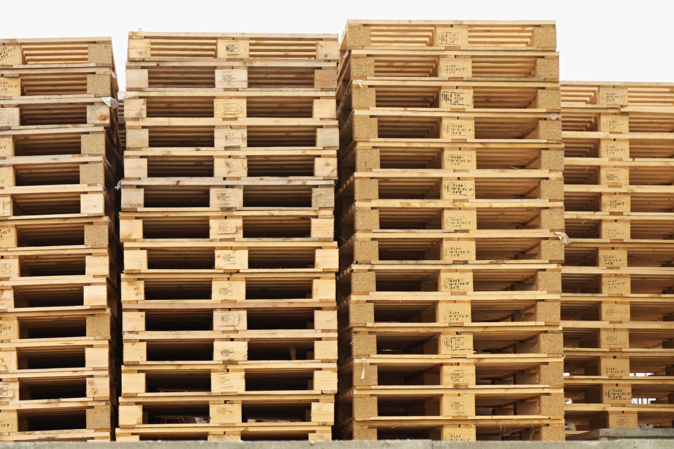 Poland’s wooden pallet exports rise 48% in September 2025