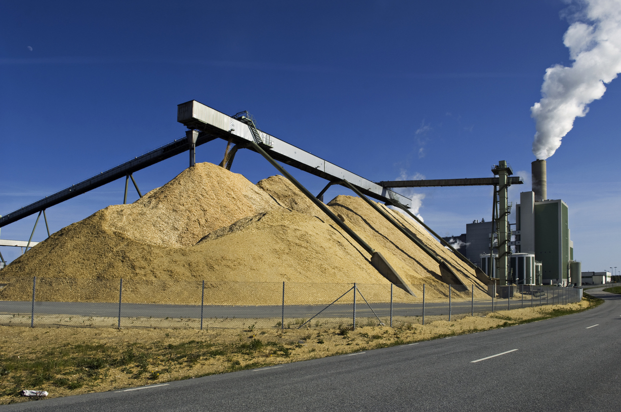 China"s wood chip imports grow 8.6% in third quarter