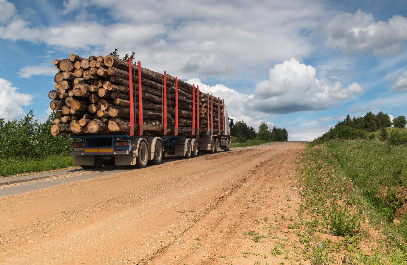 Exports of logs from Lithuania fall 68% in May