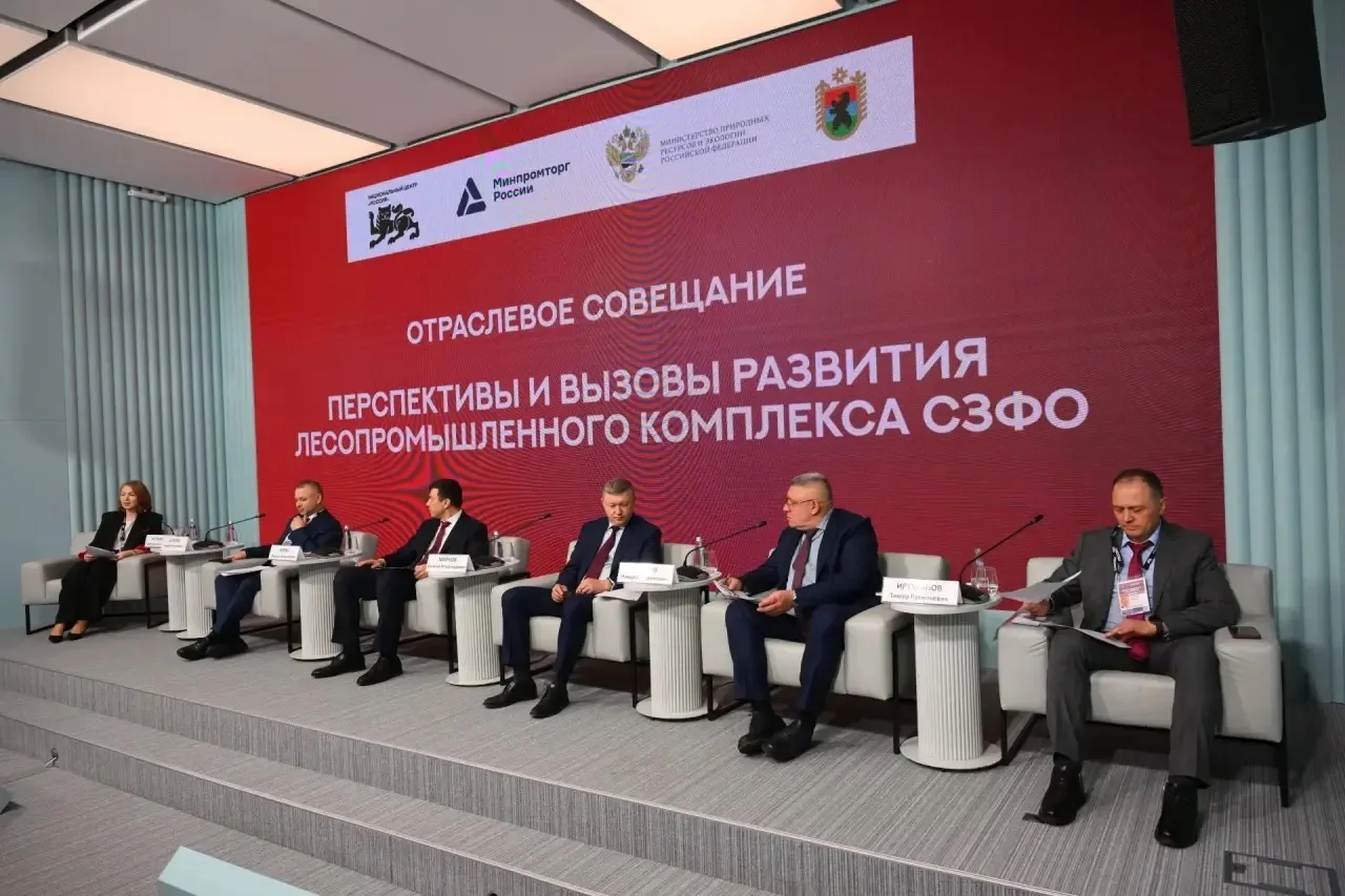 В Карелии падает освоение расчетной лесосеки