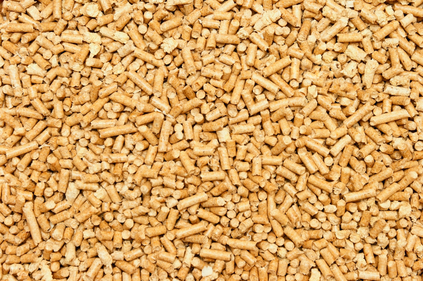Imports of wood pellets to EU increase 31% in July