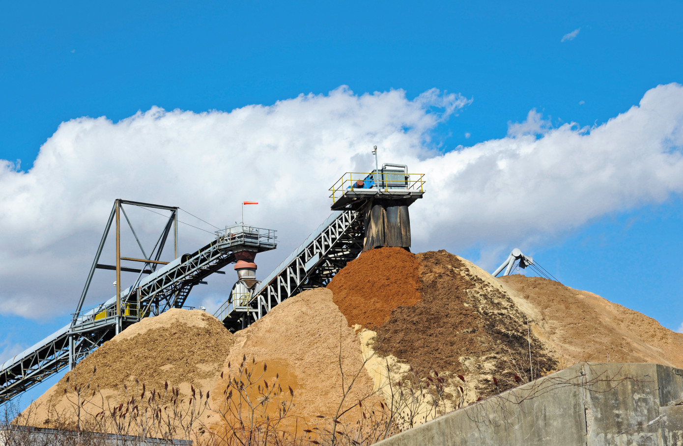 Imports of wood chips to UK expand 30% in November