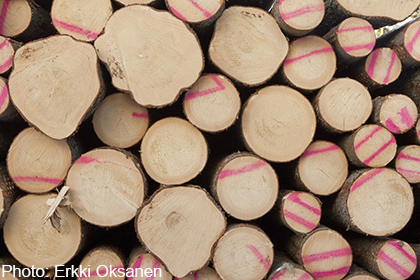 Exports of logs from Japan decrease 9% in January