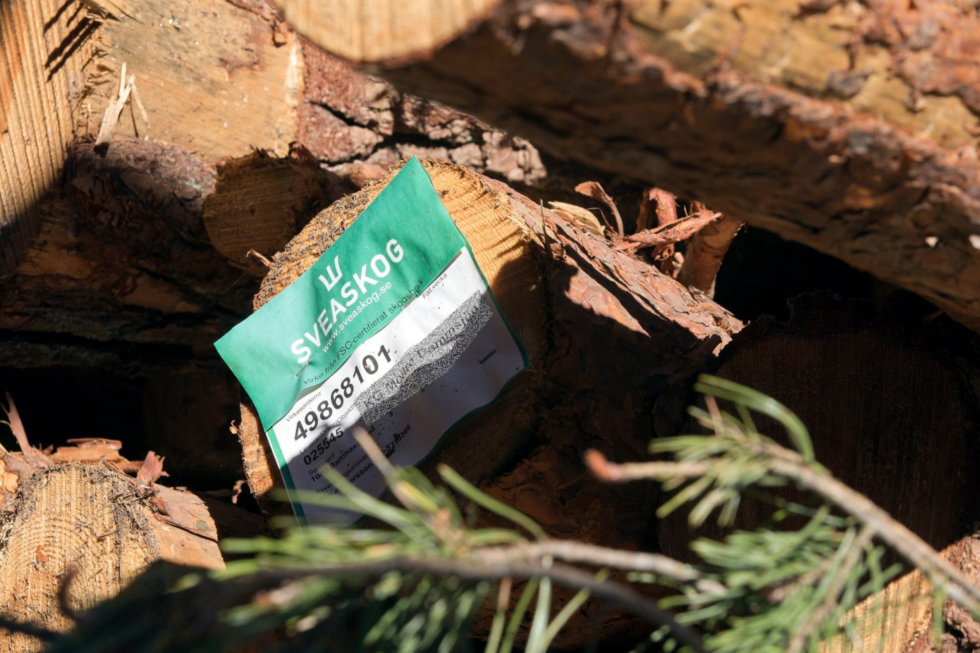 В январе-сентябре 2025 г. продажи Sveaskog выросли на 7%