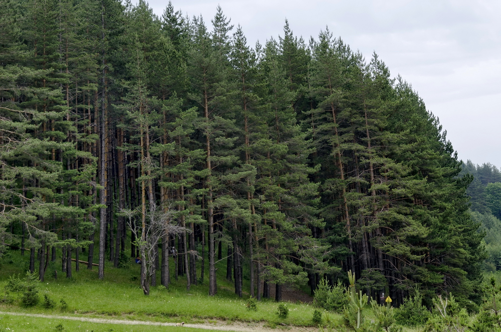 Baltic INVL Fund plans to raise capital from regional Investors