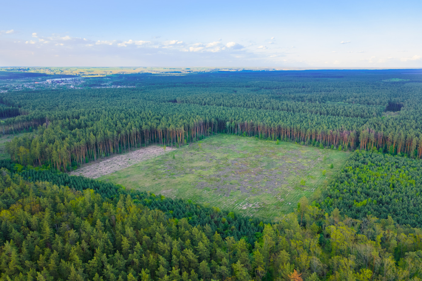 USTR proposes 25% Brazil-wide tariffs, links deforestation to wood prices