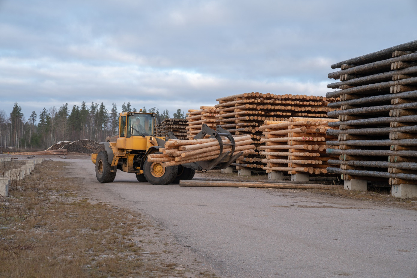 UPM укрепляет позиции в сегменте поставок древесины