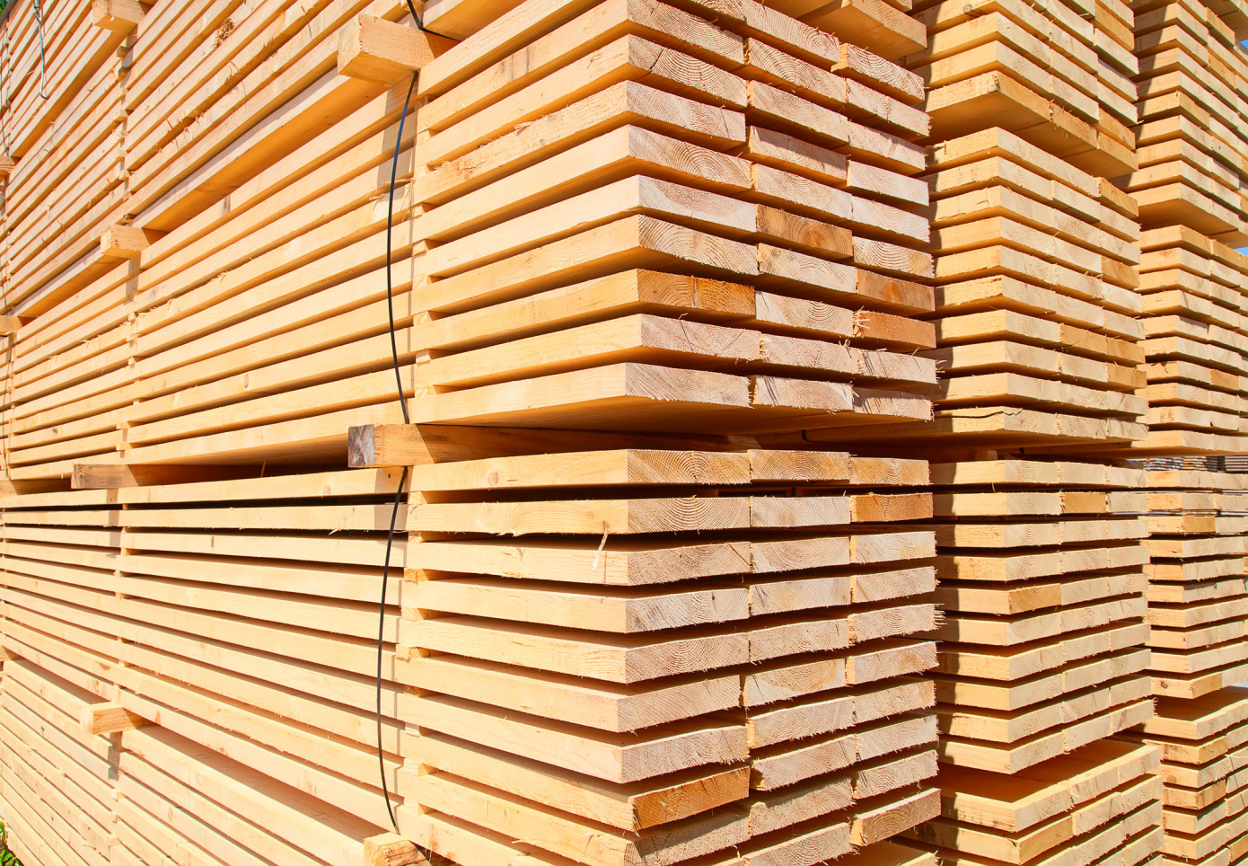 Madison"s Lumber Prices Index holds at $558 mfbm, flat weekly