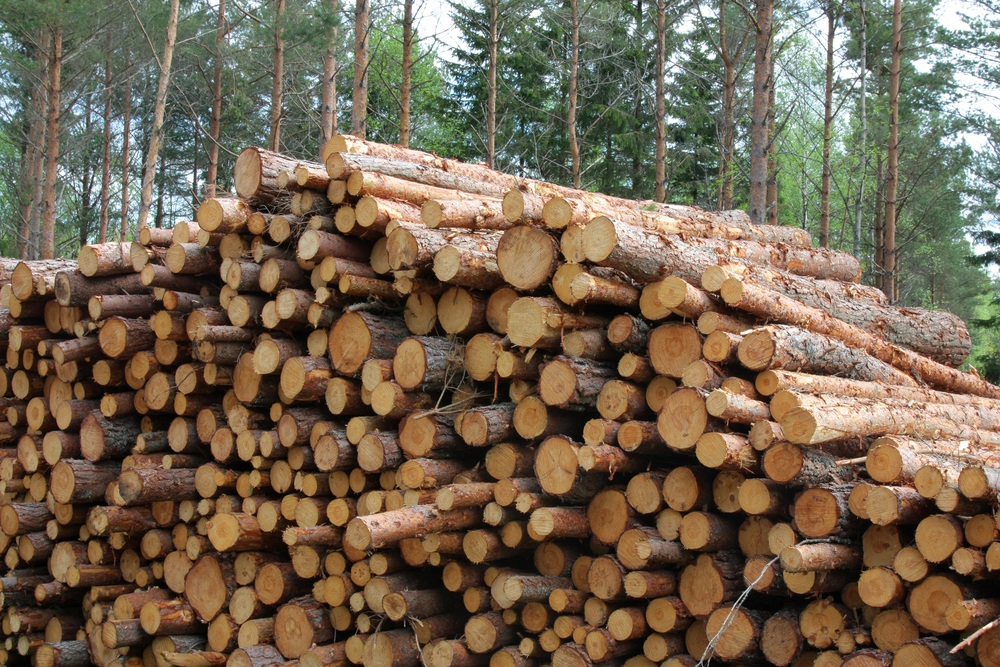 Industrial roundwood harvest in Finland increases 4% in January–September