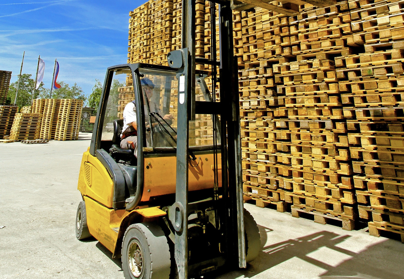 Imports of wooden pallets to China expand 41% in May