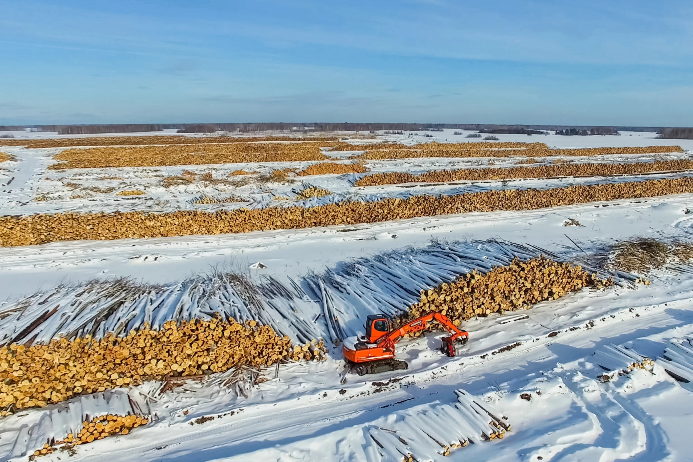 Imports of softwood logs to China lose 22% in December